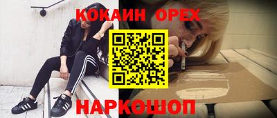 гидра Будённовск