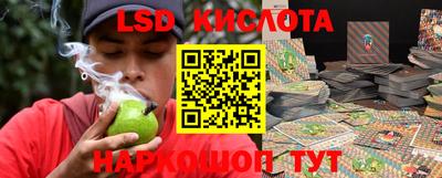 гидра Будённовск