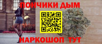 гидра Будённовск