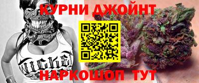 гидра Будённовск