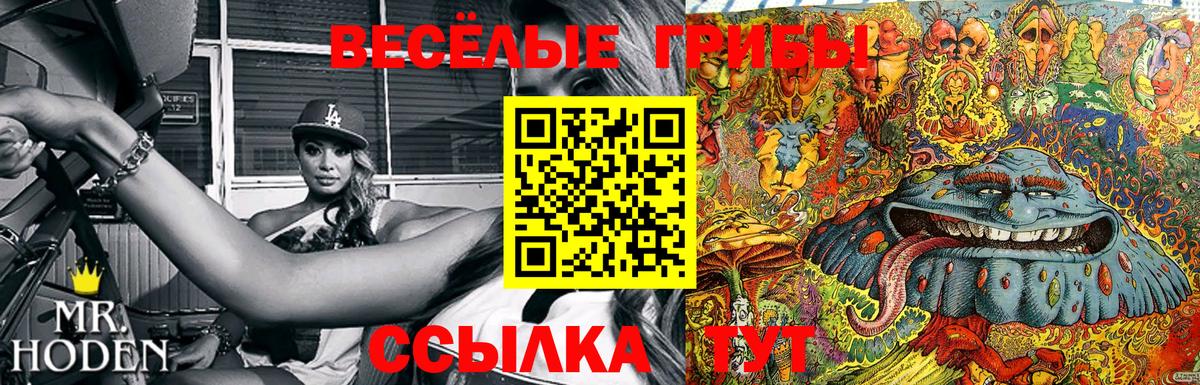 Тосно  Галлюциногенные грибы MAGIC MUSHROOMS  Вход с VPN 