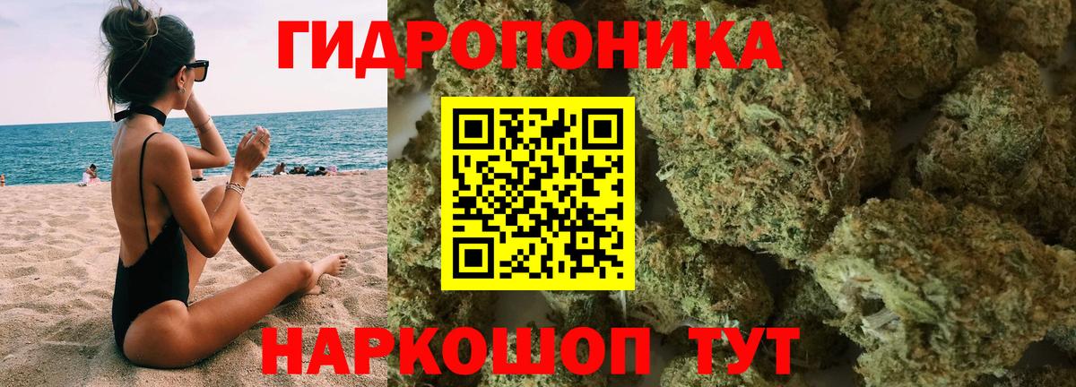 Шишки марихуана план  МАРИХУАНА ГИДРОПОН  Тосно  Вход с VPN  Бошки марихуана тримм 